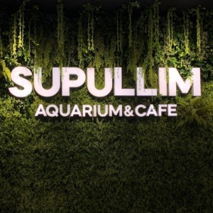 [경기 구리] 수풀림 아쿠아카페 구리갈매점