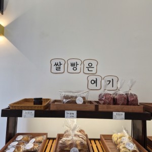 [경북 포항] 빵냥이