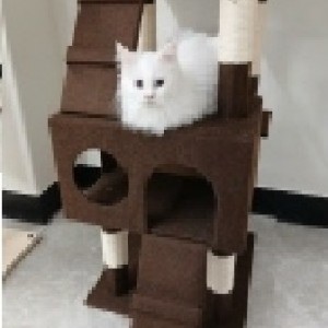 [인천 계양] 노라조야옹아