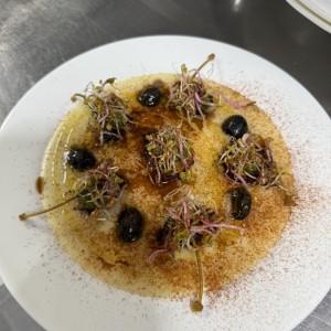 [제주 제주] 모디카