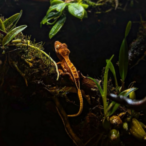 [경기 군포] 네이션