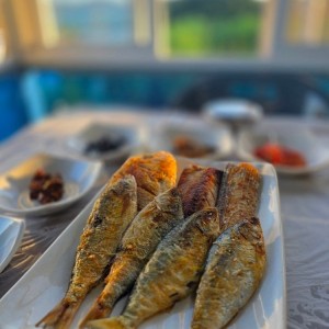 [경남 사천] 순애민박굴구이식당