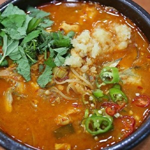 [전남 완도] 해미식당