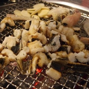 [경기 수원] 불끈불끈 꼼장어 아나고구이