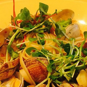 [경기 수원] 달마시안 스타필드 수원점