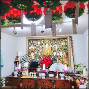 [대전 서구] 연꽃보살