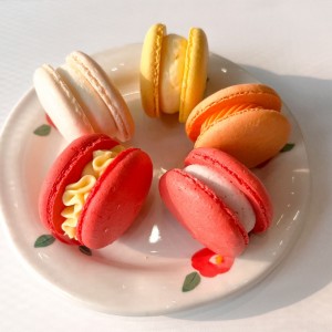 [경기 고양] 뮤트커피하우스 고양점