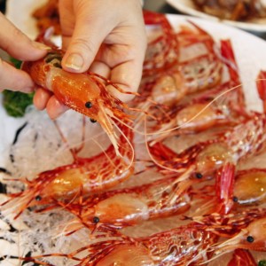 바다이야기본점