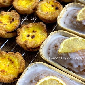 [경남 진주] clover