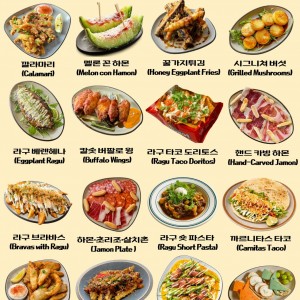 [경기 수원] 노체어&비노체어