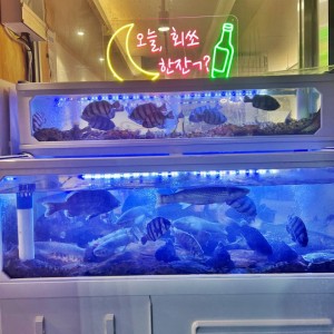 [부산 남구] 회뜨남