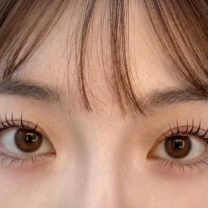 [서울 강남] 백샵브로우