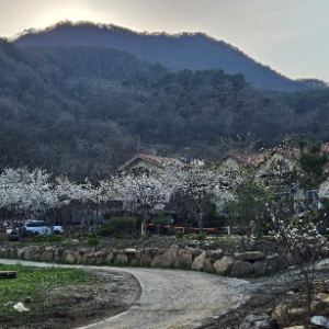 [충북 단양] 단양 만종펜션