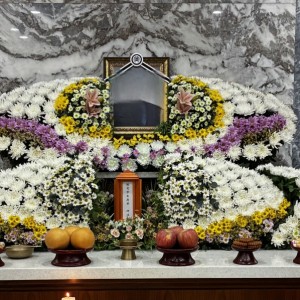 [기자단] 우진라이프