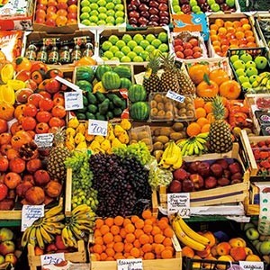 [강원 속초] 쭌과일가게