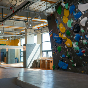 [경기 고양] 페퍼클라이밍