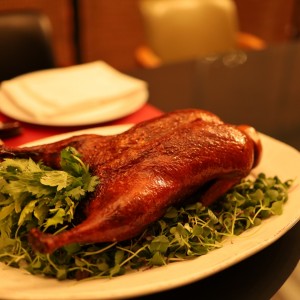 [서울 강남] 이닝