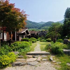 [경기 양평] 계곡의아침