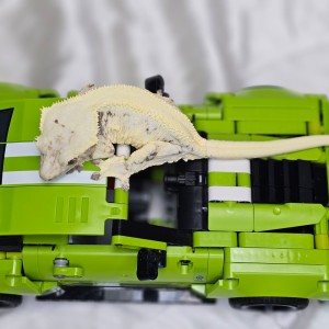 [울산 북구] 유나게코