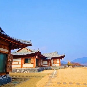 [세종 금남면] 보섬가