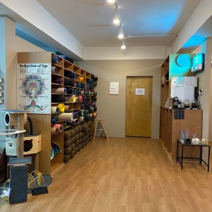 [서울 강서] 아쉬토요가