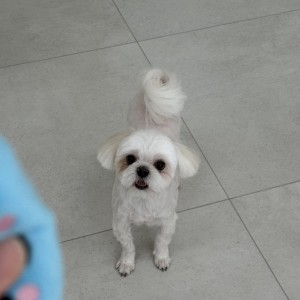 [충북 옥천] 멍마르