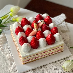 [서울 구로] 스프링노트