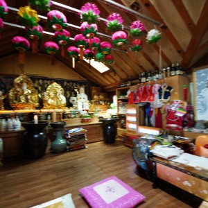 [충북 청주] 천왕할매무녀