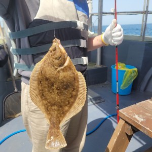 [강원 속초] 속초모래기배낚시체험