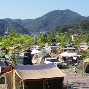 [경북 칠곡] 대양야영장