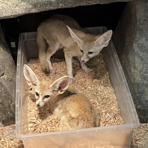 [인천 연수] 테이블에이 앤 우쥬