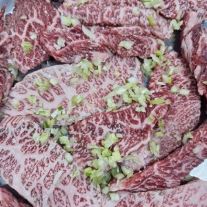 [서울 성동] 소나무(행당동)