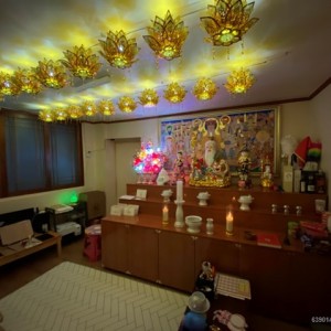 [경기 고양] 천지약산도사문도령