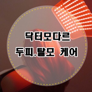 [서울 서초] 닥터모다르 양재점