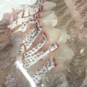 [제주 제주] 외도 해양호수산회백화점