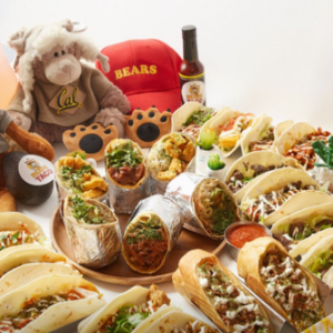 [경기 용인] 베어스타코 용인성복점