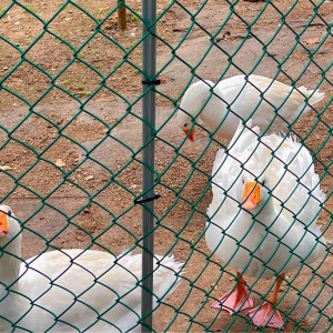 [경기 남양주] 안데르센 정원
