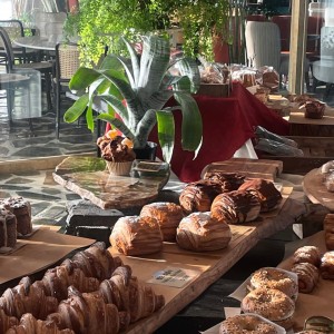 [경기 고양] 빠르끄