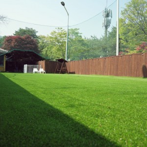 [경기 동두천] 피크닉댕댕