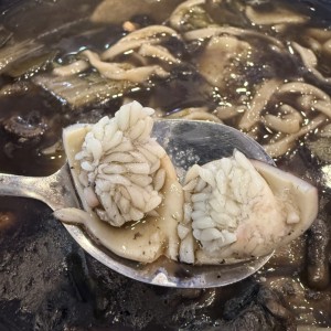 [경기 수원] 물고기선수촌