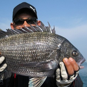 [전북 군산] 도리스호