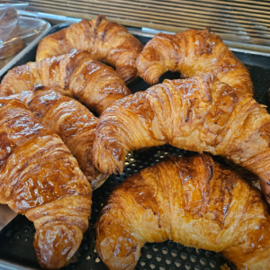 [경기 광주] 제주베어하우스