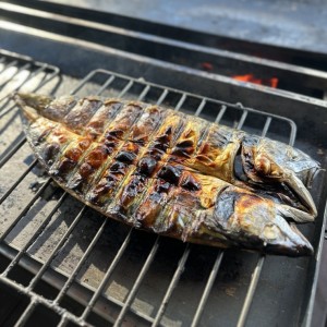 [강원 춘천] 어구어