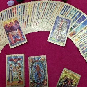 [광주 서구] 오렌지타로