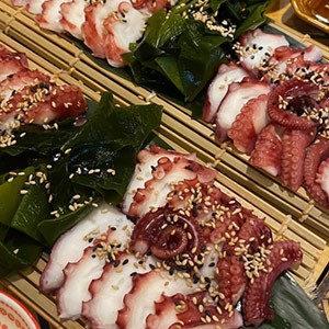 [서울 동작] 꼬보