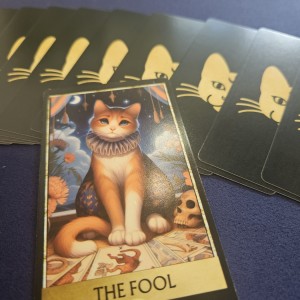 [경기 구리] 태리아로마타로