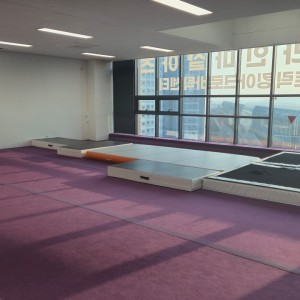 [경기 화성] 얼라인 마샬아츠 트릭킹 아크로바틱센터 화성점