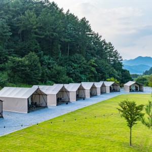 [경기 포천] 호랑이캠핑 포천한탄강점