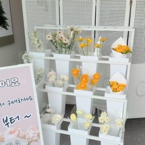 그레이스