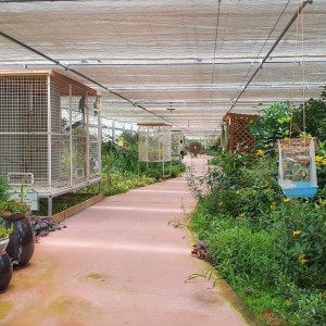 버드앤피쉬체험장